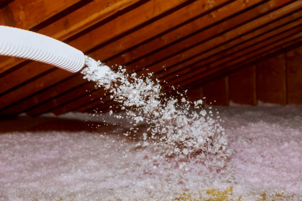 Best Residential Insulation in Holt, AL