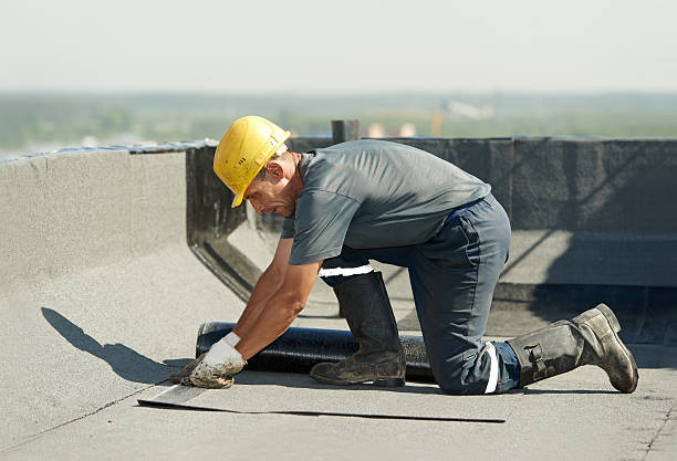 Best Eco-Friendly Insulation in Holt, AL